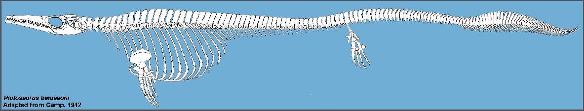 Plotosaurus1.jpg (55699 bytes)