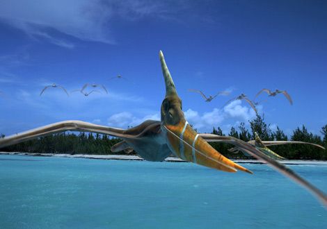 Pteranodon, Flying Reptile, Late Cretaceous, Pterosaur