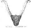 ptydoc6a.jpg (1531 bytes)